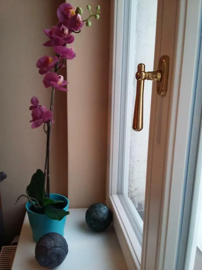 Angel Apartment Nr 4 Near To The Center براغ جمهورية التشيك