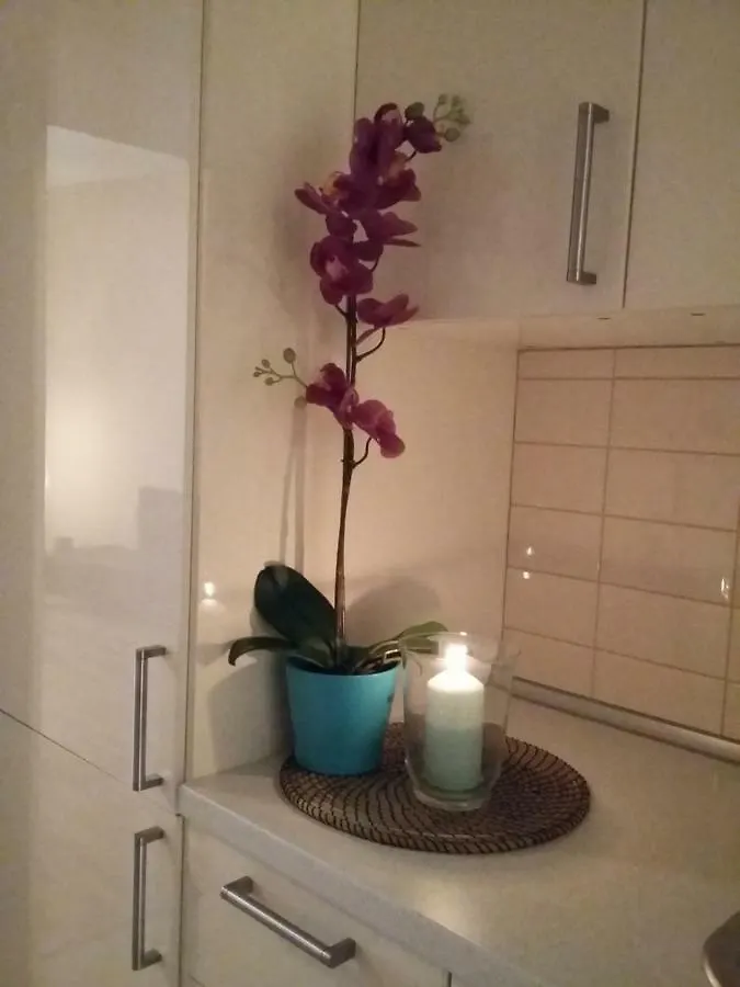 Angel Apartment Nr 4 Near To The Center براغ